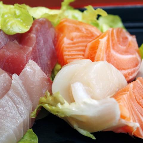 sashimi