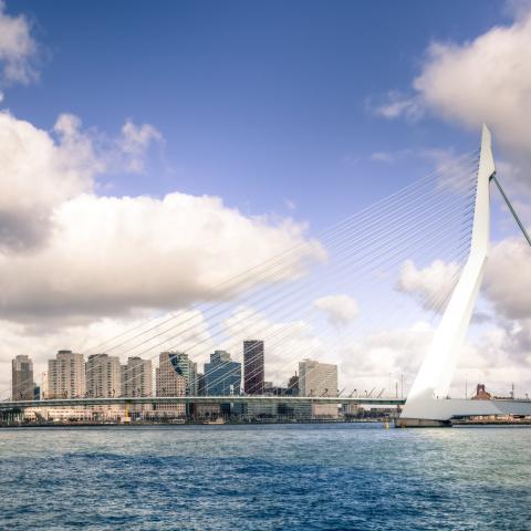 Rotterdam